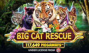 sin88 Big Cat Rescue Megaways